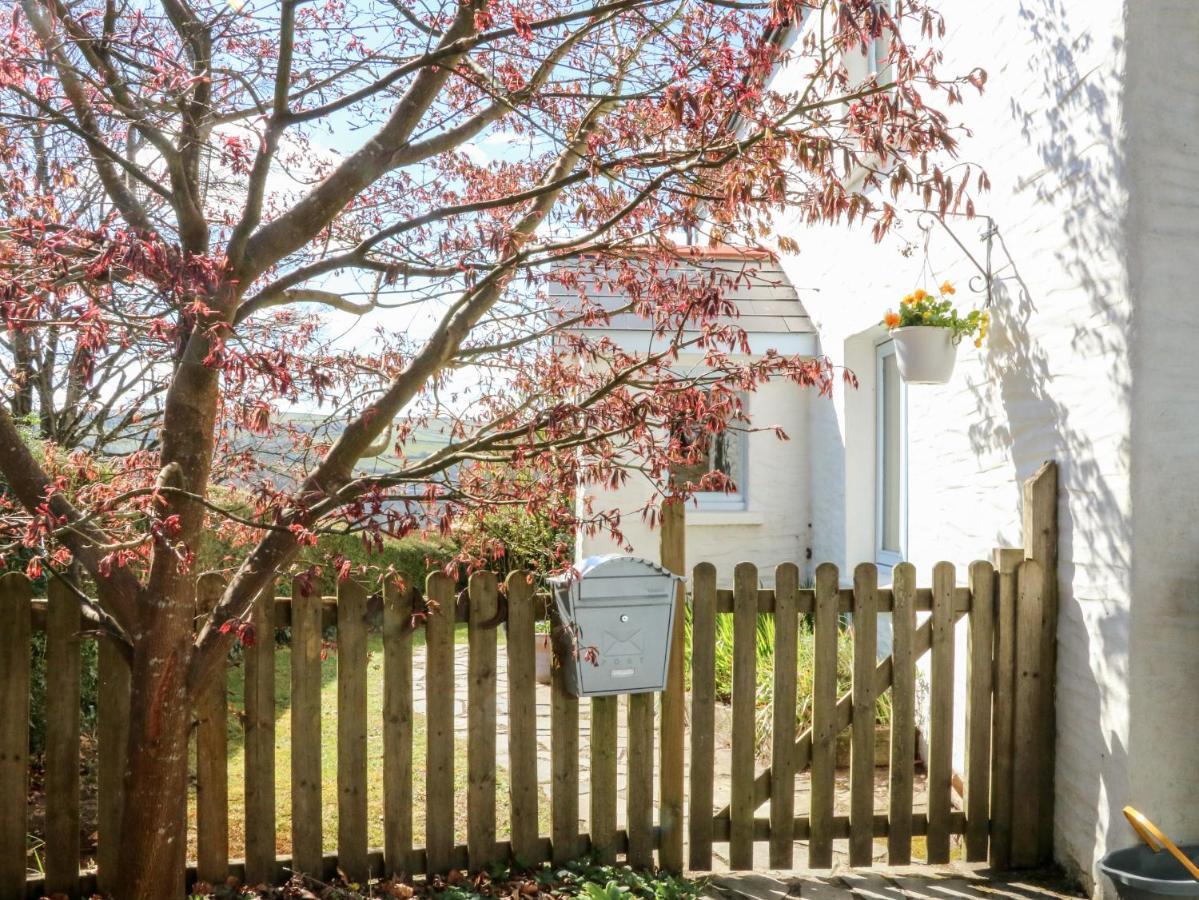 Spring Cottage, Ilfracombe Esterno foto